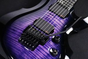 Rhxflame E II FRX FM Reindeer Blue Purple Flame Maple TopElectric Guitar Floyd Rose Tremolo Bridge China EMG Pickups 9V Battery Box Black Hardware