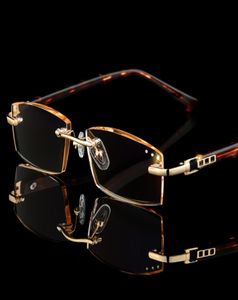 Gafas de lectura sin borde Men Tint Brown Diopter Eyewear 100 150 200 250 300 350 Fashion Read Presbyopia Edesglasses9450745