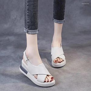 Sandales dames chaussures décontractées PU poisson bouche forme couleur unie moraillon plat antidérapant respirant femmes