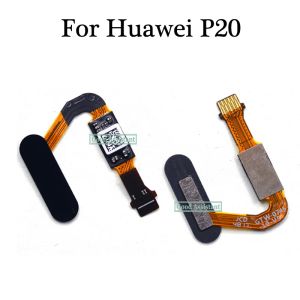 Scanners Scanner d'empreintes digitales pour Huawei P20 EMLL09 EMLAL00 EMLL29 Capteur tactile ID Bouton Home Retour Retour Câble flexible