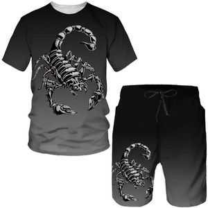 Scorpion Camisetas con estampado 3D Conjuntos de pantalones cortos Chándales para hombre Moda de gran tamaño Camiseta de manga corta Pantalones Conjunto Trajes de hombre Ropa 240321