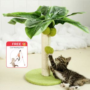 Scratchers Poste rascador para gatos para gatitos Árbol rascador de 15