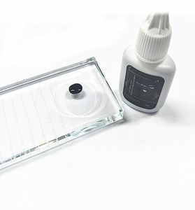 Colle pour cils individuels Seashine sensibles outils de maquillage fumées fortes pour 10 ml Pro colle pour cils colle d'extension pour cils 3036168