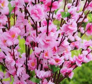 Vente de fleurs en soie décoration de fête de jardin décorations de mariage naturel grand tissu artificiel fleur de cerisier 5 couleurs