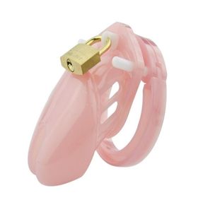 Juguetes sexy SmallStandard Dispositivo de castidad masculina Jaula para pene con 5 anillos de tamaño Cerradura de latón Etiquetas de números de bloqueo 2392016