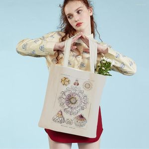 Bolsos de compras de doble cara Haeckel, medusas, pulpo, moluscos, dibujos animados, bolso de mano para mujer, bolso de compras de mercado a la moda para mujer