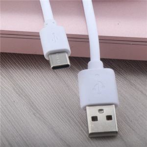 Micro Micro USB Cable Protector 15cm Type C Câbles de téléphone mobile Câbles Protector Organizer Cable Winder Sync Data Cord Cable pour iPhone