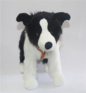 simulation animal chien en peluche border collie poupée petit chien jouets en peluche cadeau poupée cadeau d'anniversaire pour enfants amis 47x34 cm DY57269572