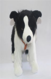 simulation animal chien en peluche border collie poupée petit chien jouets en peluche cadeau poupée cadeau d'anniversaire pour enfants amis 47x34 cm DY59387824