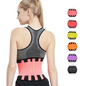 Sliming Belt Women Gym Taist Trainer Corset Abdomen Corps minceur Corps Shaper Support Back Body Body Body Building Sports Support 231202