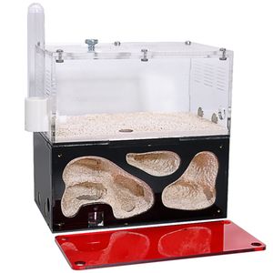 Small Animal Supplies Acrylic Ant Farm Infinite Expansion Nest Temperature Control Concrete Insect House Colony Drinker Anthill Kit Accessories p230720
