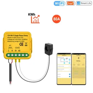 Smart Home Control Tuya WiFi Energy Meter 80A With Current Transformer Clamp KWh Power Monitor Electricity Statistics 110V 230V Alexa