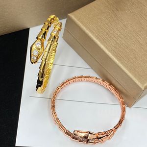 Snake Bangle Bijoux Designer Multi-boucle Bracelet Sterling Silver Femme Round Bracelet Hard Chain Classic Femme Lady Perfect Gift with Box