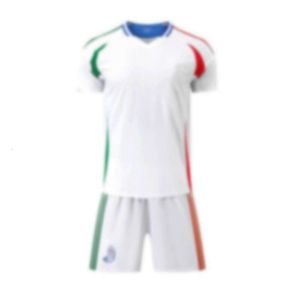Soccer Sets / Tracksuit Men's Tracksuit 24-25 Italie Away Team Football Jersey Formation Adult Training