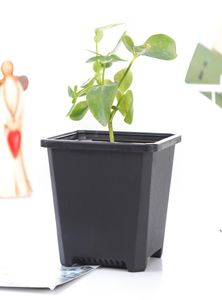 Pot de fleurs carré en plastique pour pépinière, 3 tailles, pour intérieur, bureau, chevet ou sol et pelouse extérieure ou plantation de jardin S6802469