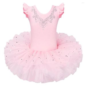 Ropa de escenario BAOHULU, leotardos de verano para niñas, vestido de Ballet, falda tutú, disfraces de fiesta de baile de hadas, vestido/Tutús