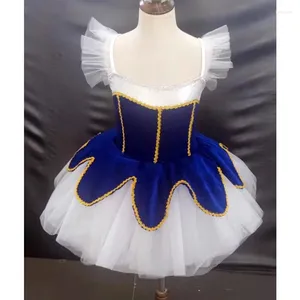 Stage Wear's Ballet Skirt Fkirt Children's Fluffy Professional Dance Performance Princess Princess