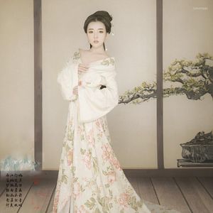 Vêtements de scène Xiao Xiang Yi Costume de broderie Hanfu pour femmes Po House Pography thématique Tang Princess Performance