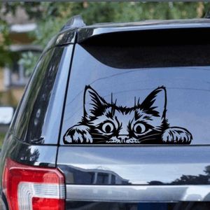 Pegatinas Cartoon Cat Peeking Car Sticker Decal Pet Animal para Auto Vehicle Windswelmper Pickup Tailgate Camión Offroad Camión Decoración de vinilo R230812