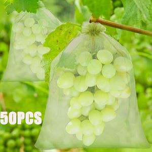 Sacs de rangement 50pcs Grapes aux fraises Fruit Culture de Netting Mesh Vegetable Plant Protection for Pest Corp