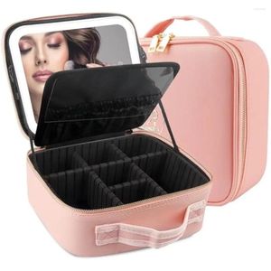 Boîtes de rangement Étui à maquillage de voyage avec grand miroir éclairé partitionnable Sac cosmétique Organisateur professionnel étanche rose portable