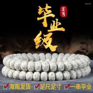 Collection Strand Hainan Xingyue Bodhi 108 perles Bracelets pour hommes et femmes collier