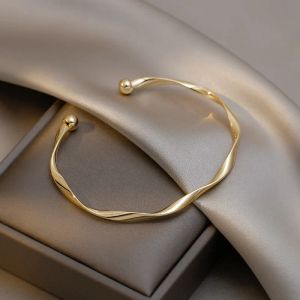 Brins 2023 Nouvelle tendance de mode Design unique Design élégant exquis Twist Simple Women Jewelry Wedding Party Premium Gift Wholesale