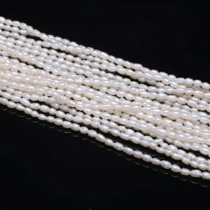 Brins nouveaux AAA Natural Natural Ewater Pearl White Irrégules Perles de perle utilisées pour le collier de bracelet de fabrication de bijoux 2,02,5 mm