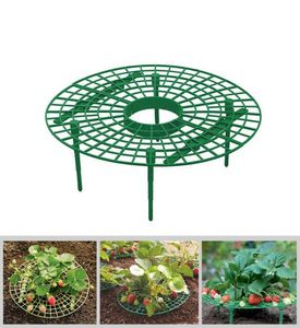 Strawberry Supports Keeping Fruit Elevated to Avoid Ground Rot Plant Support with 4 Sturdy Legs Garden Supplies9308082
