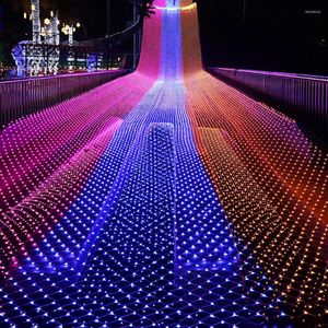 Cordes 10X1M 580 LED Filet Maille Fée Guirlande Lumineuse Guirlande Scintillante Étoile Fenêtre Rideau Pour Jardin En Plein Air Fête De Mariage