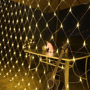 Cuerdas 6m x 4m 3x2m LED String Net Fairy Lights Christmas Street Garland Fiesta de boda al aire libre Patio Jardín Decoraciones Navidad