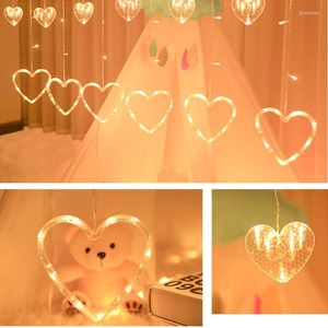 Strings Hearts Curtain Light 220V Christmas LED Ghirlanda Stringa di lucine all'aperto per la casa Festa di nozze Decorazioni per l'anno