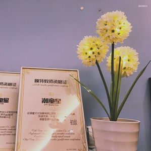Cordes LED hortensia lanterne éclairant fleur en pot lumineux fleuron veilleuse fille coeur chambre décoration Han Feng