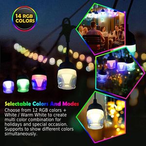 Cuerdas de luz LED con 12 colores, control de voz inteligente ajustable, bombillas coloridas para fiesta interior, Patio exterior, decoración de jardín