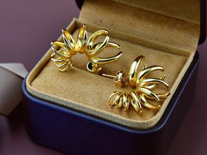 Stud Earring BV60 Pendientes de aro con lomo en oro/plata Colección icónica para mujer con caja para el polvo Fendave