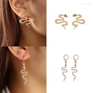 Pendientes de tuerca de serpiente de aleación geométrica Punk Hip-hop para mujer, joyería de oreja de Animal de circonita retorcida en relieve de moda exagerada