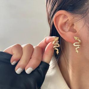 Boucles d'oreilles design unique strass dragon oreille piercing boucle d'oreille pour femmes personnalité tendance punk métal doux cool bijoux cadeaux 2024