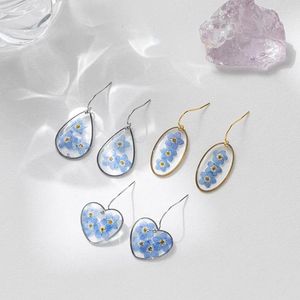 Boucles d'oreilles à clous pour femmes, breloque d'été, vraie fleur, oubliez-moi, pas séché, mode, goutte en résine, vente en gros, 2023