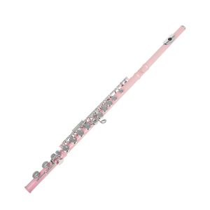Student Flute Close 16 Hole with Offset G Split E and B Foot