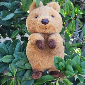 Animales de peluche de peluche Lindo Quokka Animal de peluche Juguete de peluche Australia Animal Plushie Cuddly Quokka Doll10 pulgadas 230217