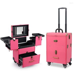 Valises Valise à cosmétiques professionnelle de haute qualité, valise à roulettes multicouche de grande capacité, valise de maquillage, boîte à outils de tatouage d'ongles