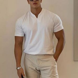 Summer Men Business Causal Tshirt Beach Fashion Thin Stand Collar Solid Tee Vneck Breathable Fitness Streetwear Corée Tops 240409
