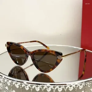 Lunettes de soleil 2024 Retro Fashion Sexy Cat Eye Femmes Leopard Head Decorative Lunes Durable Designer de luxe de luxe