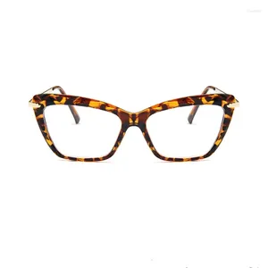Les lunettes de soleil encadrent en plastique Plectacle Spectacle Spectacle Men's Retro Fashionable Myopia Eyeglass de personnalité des femmes