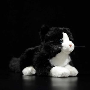Super mignon chat tigré noir et blanc peluche peluche douce jouet mensonge chaton animaux réalistes simulation pour enfants cadeau d'anniversaire 21 cm Q0727