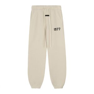 Pantalon de survêtement à capuche 1977 pour hommes et femmes, ample, Cargo, gris, chaud, Pantoufle 100%, pantalon en coton épais de haute qualité, grande taille, taille américaine S M L XL 2XL 3XL