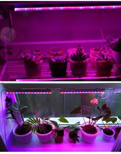 Lámpara LED T5 para cultivo de acuario, lámpara LED de alta eficiencia, luz de compensación de ahorro de energía para plantas en macetas, siembra de verduras y frutas