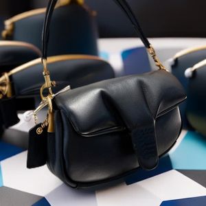 Tabby Pillow Designer sac à main femme portefeuilles Crossbody sacs à main portefeuille à bandoulière sac à main de luxe sac pour femme sangle réglable de haute qualité avec boîte sac à poussière bagzone