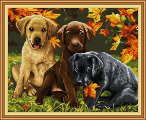 Tres perros decoración del hogar diy kit de arte, punto de cruz hecho a mano herramientas de artesanía bordado juegos de costura impresión contada en lienzo DMC 14CT / 11CT