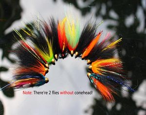 Tigofly 12 PCSLOT Assortiment de mouches à tube pour le saumon Trout Steelhead Fly Fishing Flies Lures Set5723205